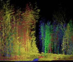 FGI laserkeilattu Metsä ja Sähkölinja