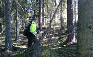 Tutkimusprofessori Antero Kukko reppukeilaimen kanssa metsässä