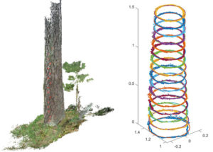 Kuva mobiililaitteella kuvatusta puunrungosta sekä analysoitu mittaustulos rungon paksuudesta esitettynä värillisinä renkaina