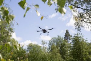 Drooni puiden yläpuolella_Julia Hautojärvi/MML
